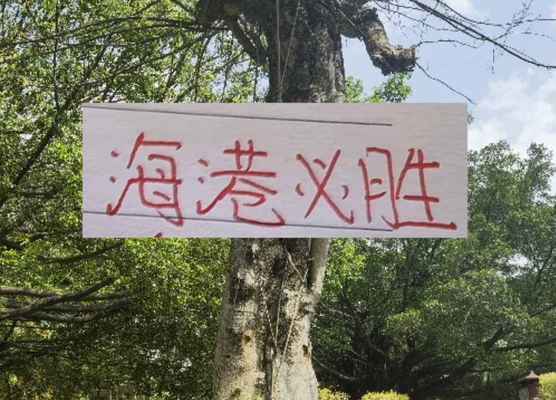 开云APP-前有奇塔 现有奥斯卡 海港旧将也喜欢度假途径母队